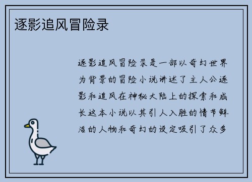 逐影追风冒险录